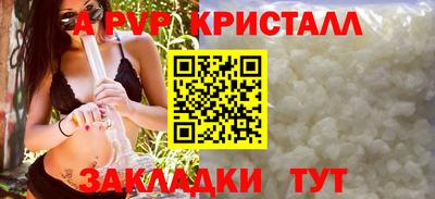 хмурый Кингисепп