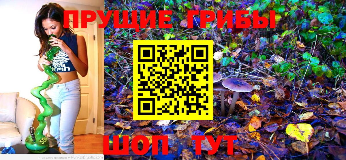 Псилоцибиновые грибы Cubensis Красноярск