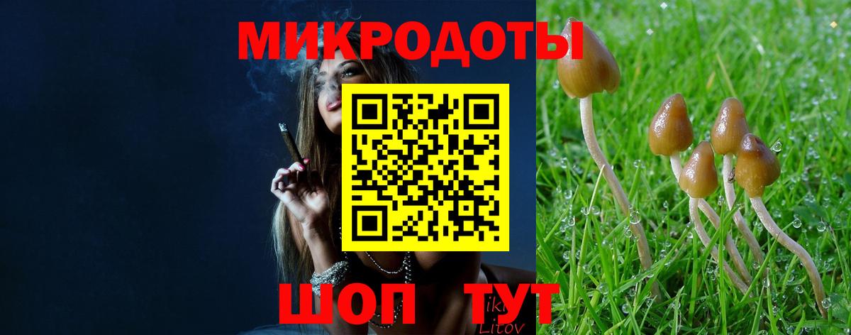 Красноярск  Псилоцибиновые грибы Cubensis  Вход с VPN 